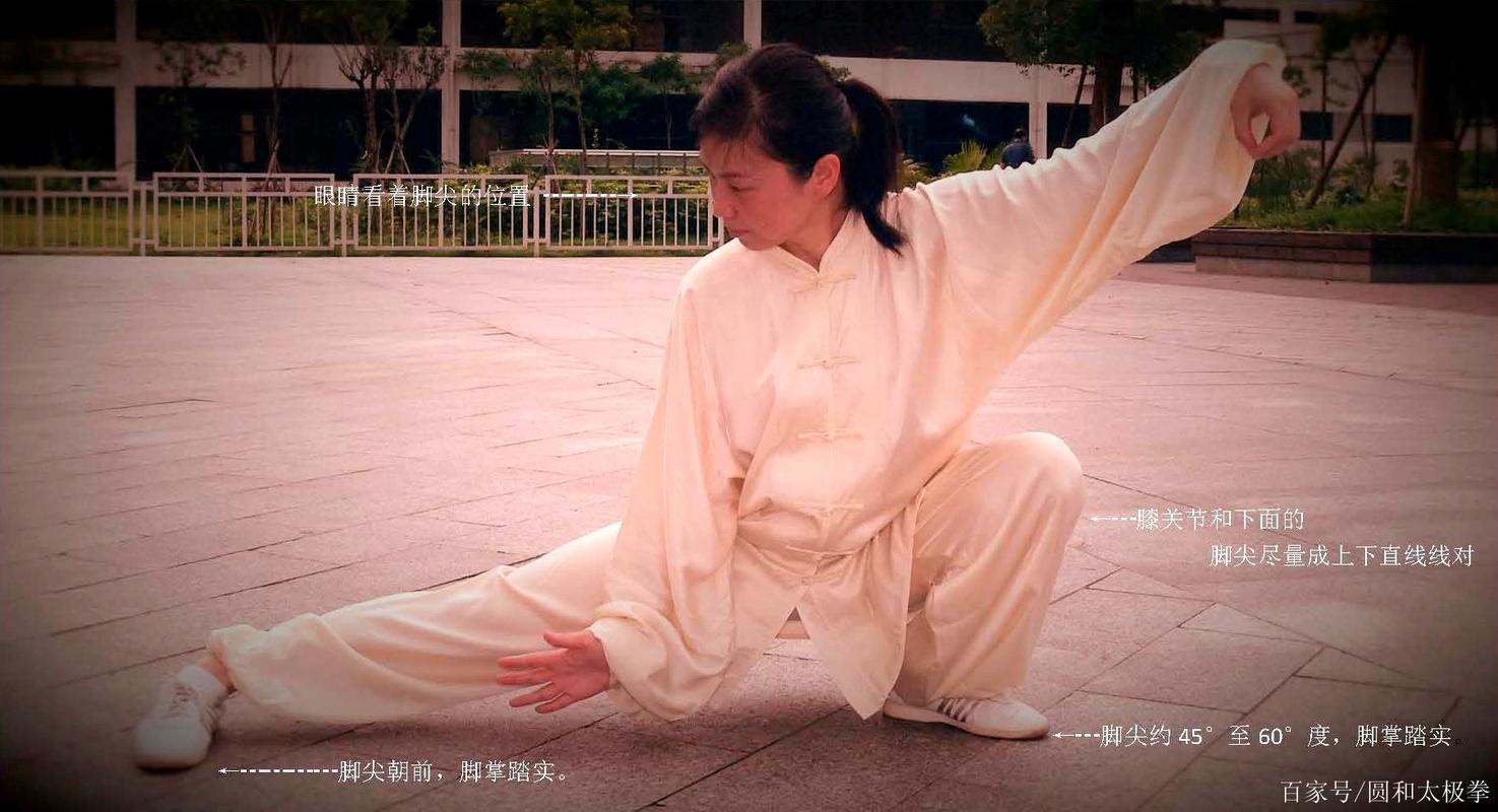 仆步的正确姿势照片_仆步练平衡 柔韧又强身