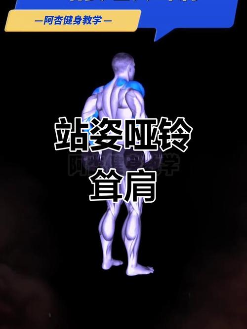 耸肩锻炼的正确方法_哑铃耸肩练肩部,挺胸收腹要标准 耸肩锻炼的正确方法_哑铃耸肩练肩部,挺胸收腹要标准