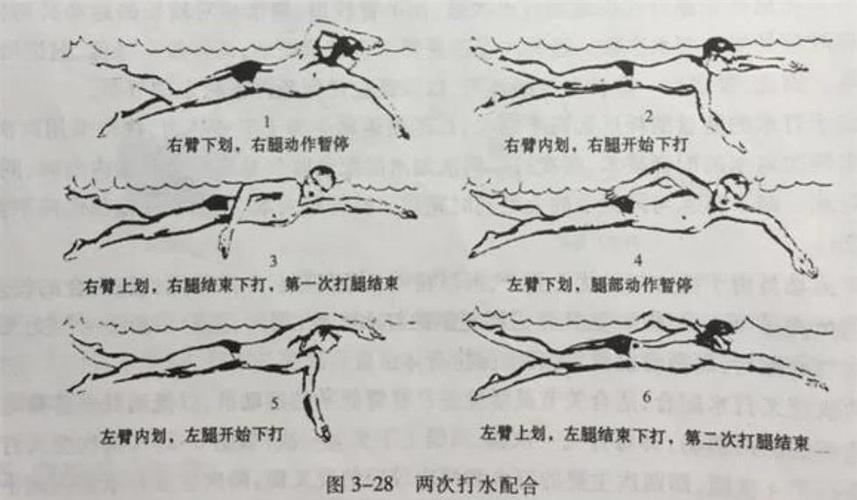 爬泳滑臂动作可以分为_入水抱水划水出水移臂，划水是核心