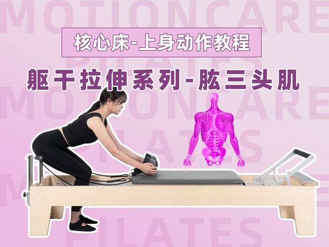 肱三头肌的训练方法_动作与营养增肌攻略 肱三头肌的训练方法_动作与营养增肌攻略