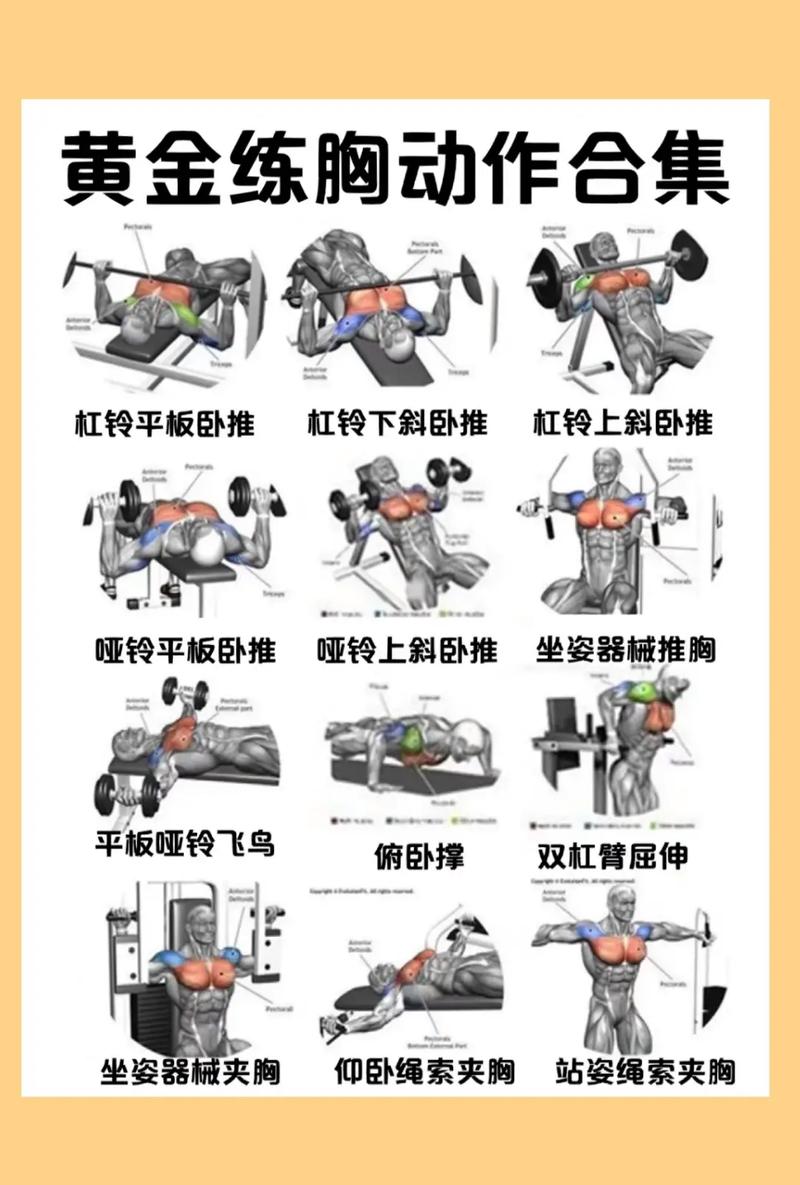 胸大肌上部训练方法_练上胸,突出V线!精准动作幅度是关键 胸大肌上部训练方法_练上胸,突出V线!精准动作幅度是关键