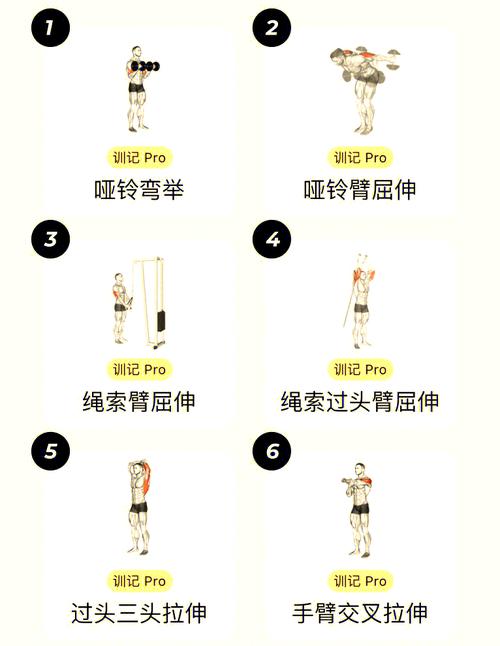 整体协调性训练方法_多运动多练习