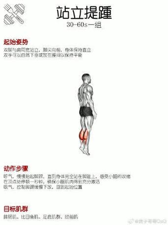 双抬腿正确练法_健身抬腿练核心，稳如泰山！