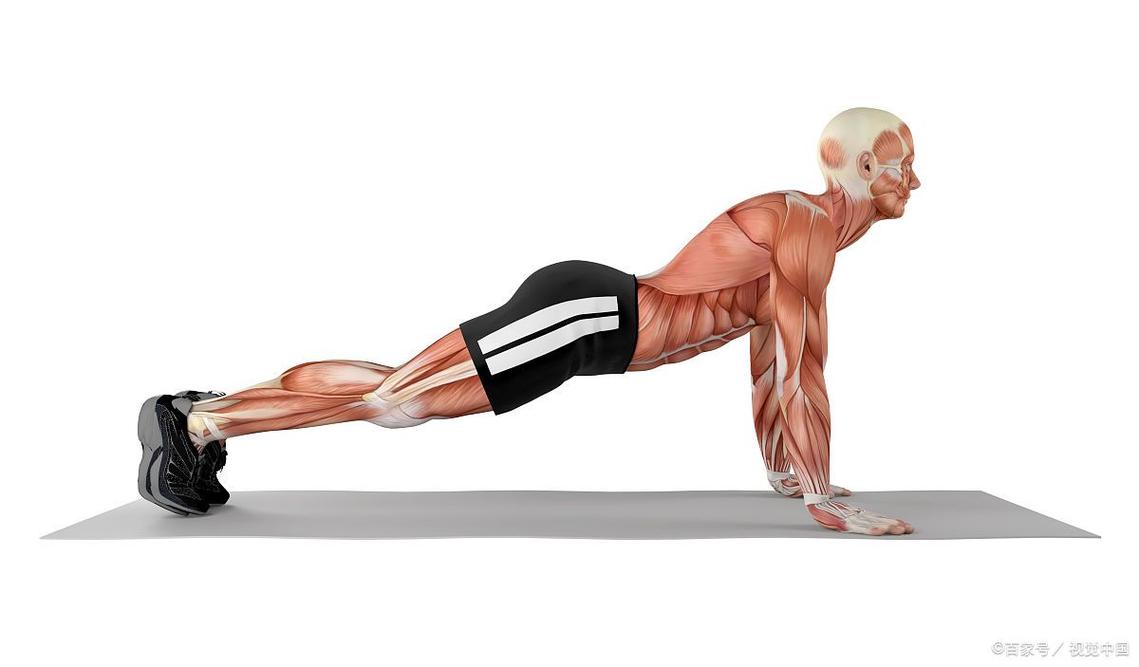 练平板支撑能练出腹肌吗_平板支撑练出马甲线,姿势标准低体脂 练平板支撑能练出腹肌吗_平板支撑练出马甲线,姿势标准低体脂