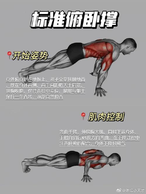 做俯卧撑能练引体向上吗_俯卧撑助你轻松掌握引体向上