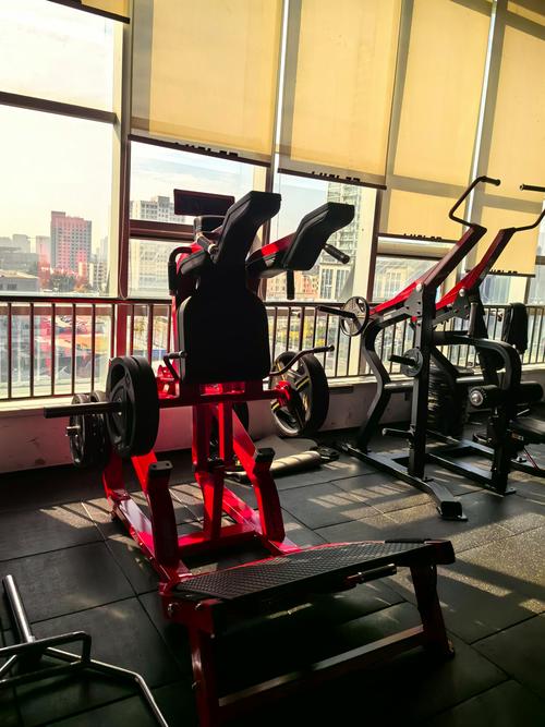 练深蹲的健身器材叫什么_哈克史密斯深蹲机选哪个? 练深蹲的健身器材叫什么_哈克史密斯深蹲机选哪个?