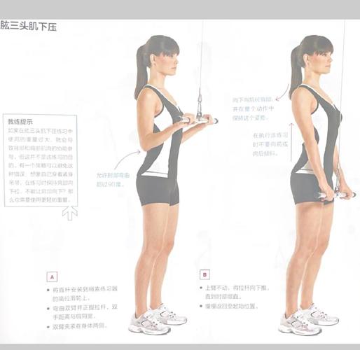 肱三的锻炼方法_练肱三头肌方法多，推举弯举都教你