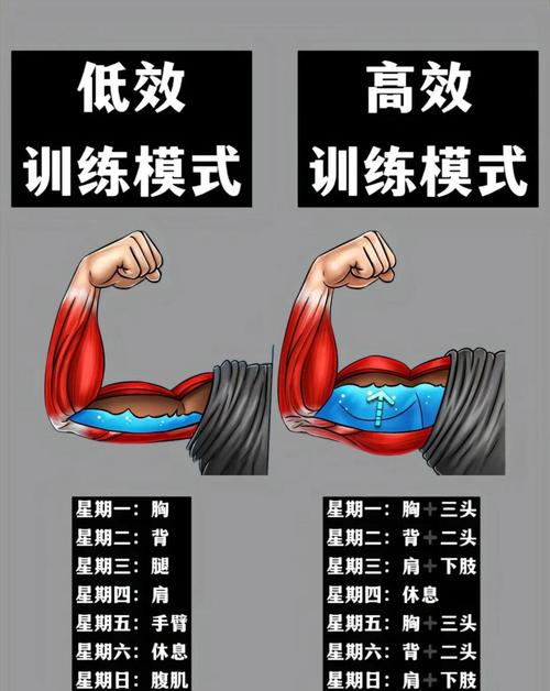 大圆肌训练动作_坐姿下拉练大圆肌,臂屈伸注意沉臀夹肘 大圆肌训练动作_坐姿下拉练大圆肌,臂屈伸注意沉臀夹肘