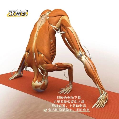 两只胳膊架着腿叫什么姿势_双人瑜伽与高级平衡术 两只胳膊架着腿叫什么姿势_双人瑜伽与高级平衡术