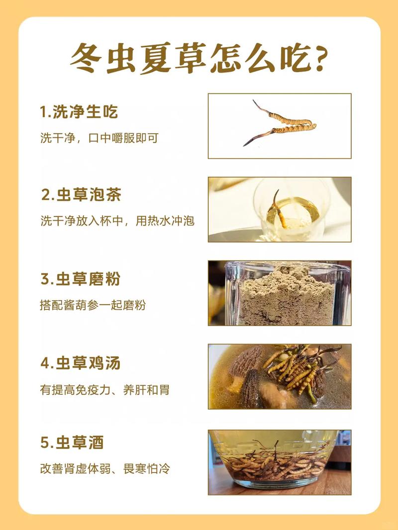 冬虫夏草护肤品的正确使用方法_冬虫夏草面霜抗衰提亮,选对质地勤按摩! 冬虫夏草护肤品的正确使用方法_冬虫夏草面霜抗衰提亮,选对质地勤按摩!