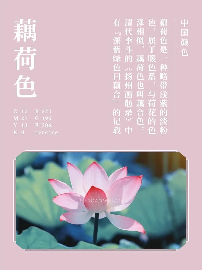 藕荷色配什么颜色好看_藕荷色百搭！优雅简约又高级，解锁不同搭配风格