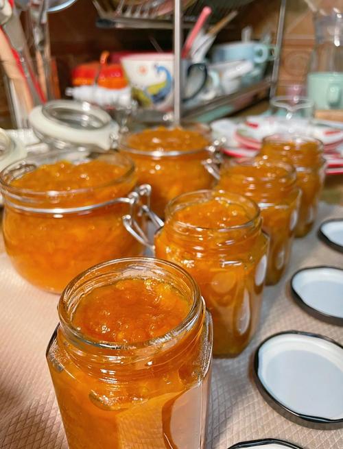 枇杷膏的正确食用方法_枇杷膏以老枇杷叶为主,需适量服用 枇杷膏的正确食用方法_枇杷膏以老枇杷叶为主,需适量服用