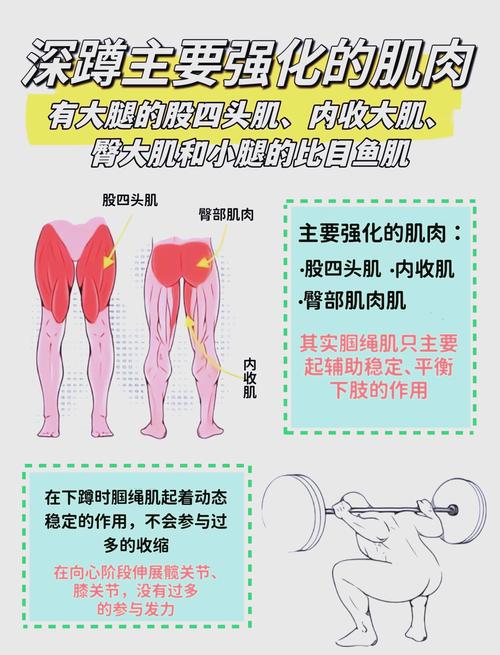 蹲坑锻炼哪些肌肉_全身锻炼好动作