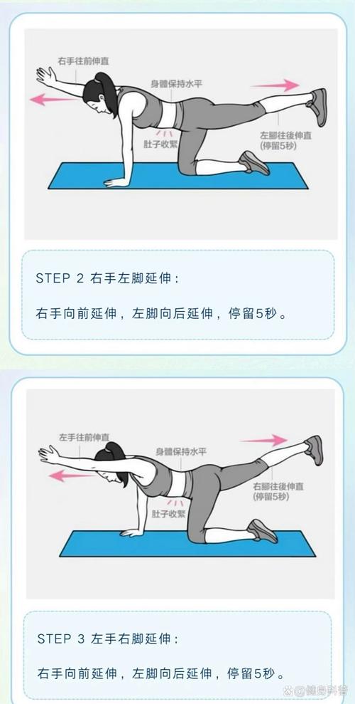 鸟狗式锻炼什么部位的肌肉_鸟狗式锻炼核心平衡协调