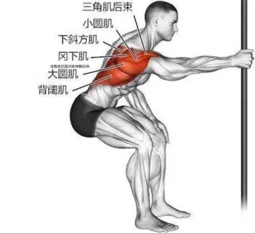 波大圆肌锻炼方法_拉力器引体向上练大圆肌，姿势恢复很重要！