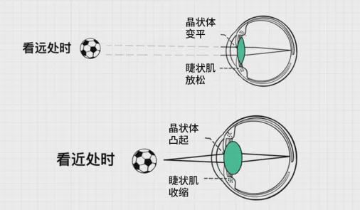 晶状体训练_缓解眼干酸胀的简单训练法