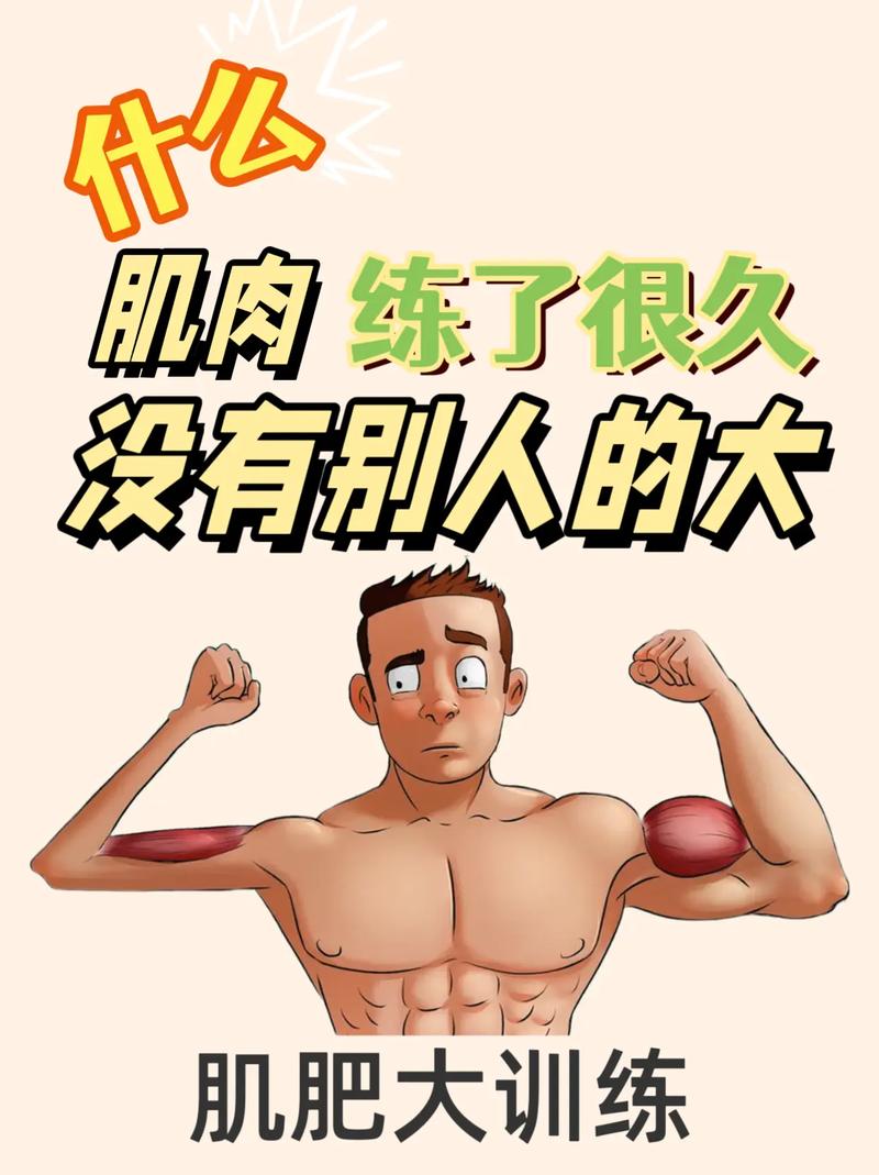 肌肥大训练方法_复合动作练全身,增肌快又强! 肌肥大训练方法_复合动作练全身,增肌快又强!