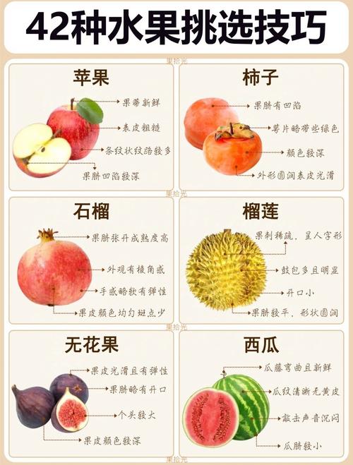 虫族肉荤素搭配最忌三种水果_忌萝卜绿豆浓茶辛辣 虫族肉荤素搭配最忌三种水果_忌萝卜绿豆浓茶辛辣