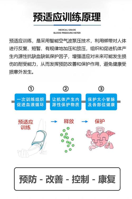 缺血预适应训练的作用是什么_心脏保护训练 缺血预适应训练的作用是什么_心脏保护训练