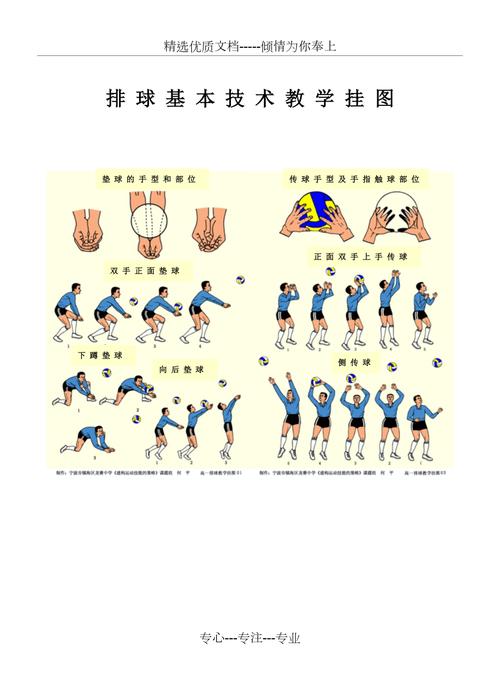 练排球锻炼的是身体哪些地方_排球锻炼全身,提升心肺,增强团队精神! 练排球锻炼的是身体哪些地方_排球锻炼全身,提升心肺,增强团队精神!