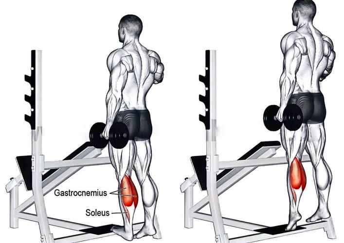 提物负重训练_练核心握力，搬重物不累