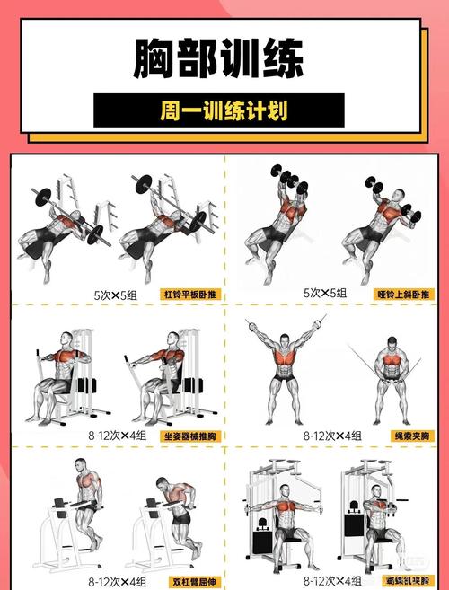 把胸肌练大要多久_坚持练胸,3-6月见效果! 把胸肌练大要多久_坚持练胸,3-6月见效果!