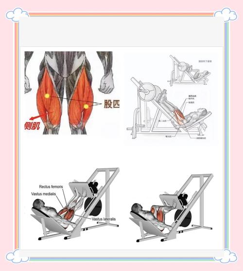 上蹬腿的训练方法_正蹬侧蹬后蹬，健身防身皆可用