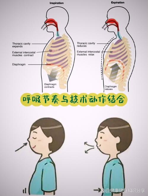 气管狭窄怎样锻炼能恢复正常_呼吸训练强肺活，有氧扩胸气管好