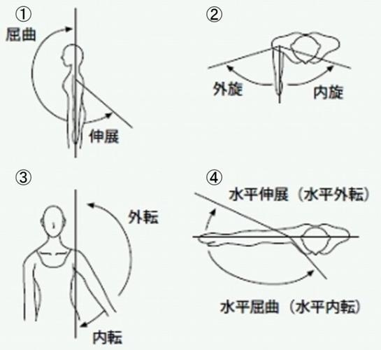 肩内收是什么动作_肩内收动作及训练方法