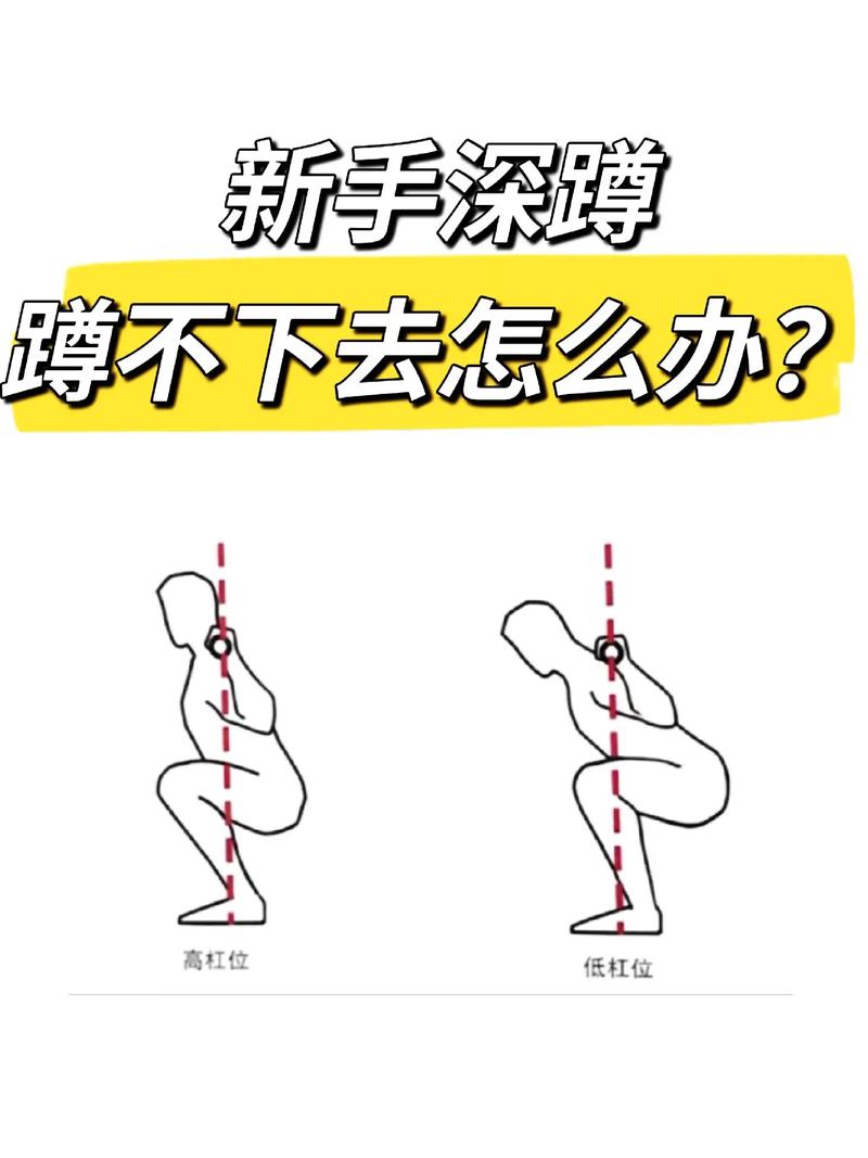 跪蹲起动作要领_蹲起注意姿势保安全,保护膝盖脊柱很重要 跪蹲起动作要领_蹲起注意姿势保安全,保护膝盖脊柱很重要