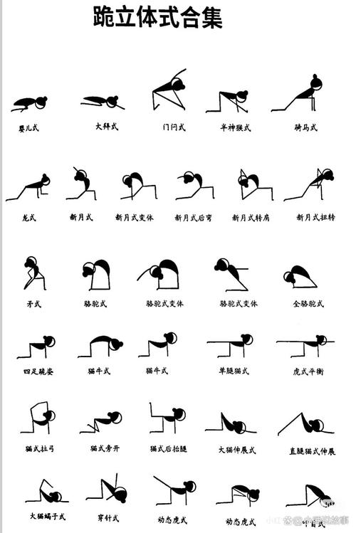 跪趴和跪伏正确姿势_跪趴练臀提核心，缓解压力促循环