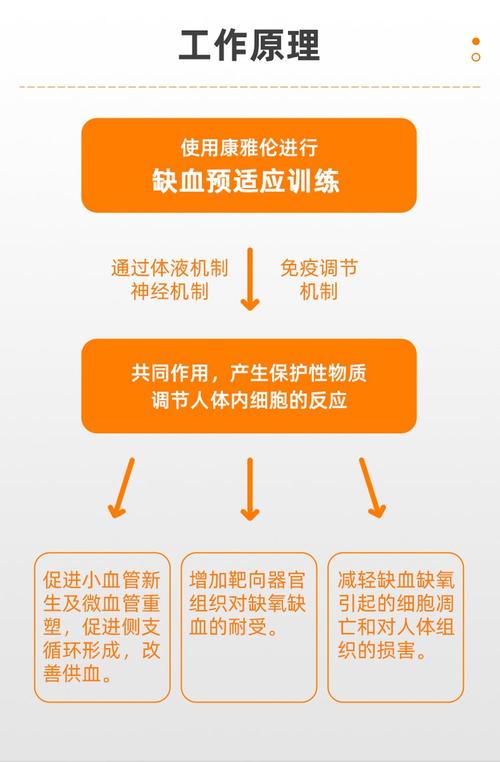 缺血预适应性训练的作用_护心脑，需指导