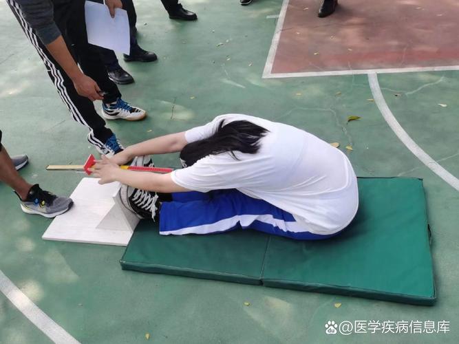 屈体前伸标准姿势_屈体前伸拉伸，提升柔韧灵活！