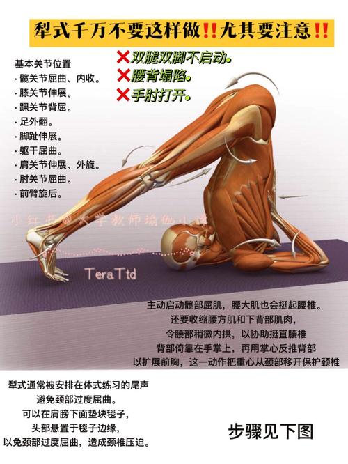 练静态力量有什么好处_静态力量训练好处多，无器械提力稳平衡！