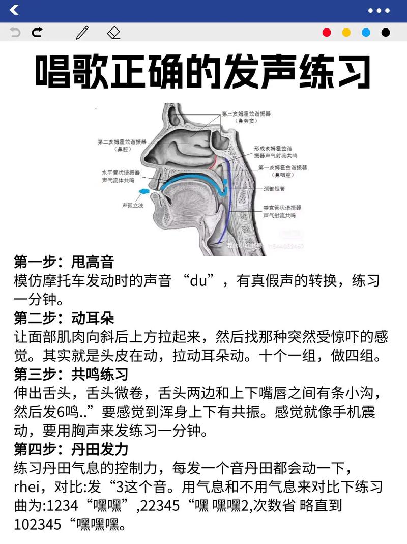 声带发音训练具体方法_腹式呼吸，唱出好声音！