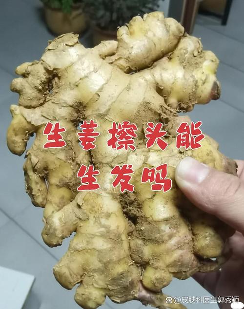 擦生姜能长头发吗_生姜生发?效果有限要理性! 擦生姜能长头发吗_生姜生发?效果有限要理性!