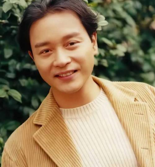 张国荣中分发型_不过时魅力永存