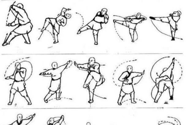 青年长拳十二式结束动作叫什么_并步按掌，身心归静