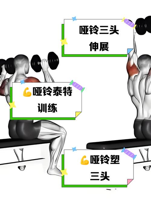 刚玩哑铃肌肉痛能接着练吗_训练后肌肉酸痛？别担心，这样恢复快！