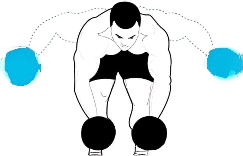 反向飞鸟练的是哪个部位_反向飞鸟练上背，稳固肩部护关节