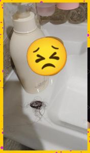 手工皂洗头发的危害_别用香皂洗头，伤头皮损发质