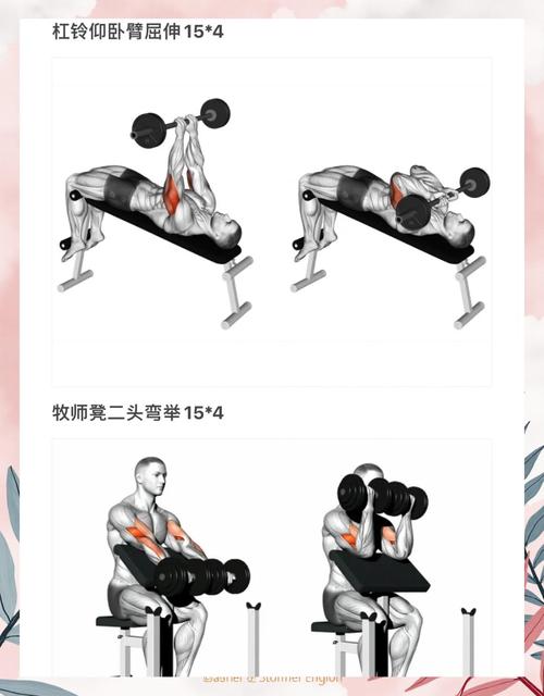 反握弯举练哪里_反握弯举练肱肌 握力臂力同提升