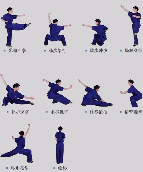 拳前十三式动作详解_从预备式到右崩拳