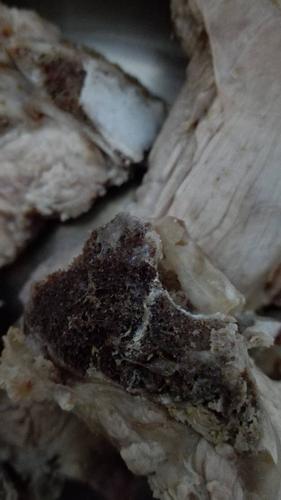 排骨骨头发黑什么原因_排骨骨头发黑？别担心，安全食用指南
