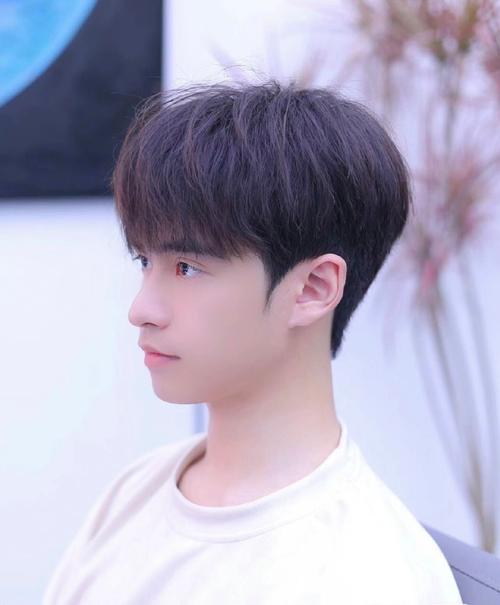 小碎盖男士发型_精致易打理，凸显清爽活力