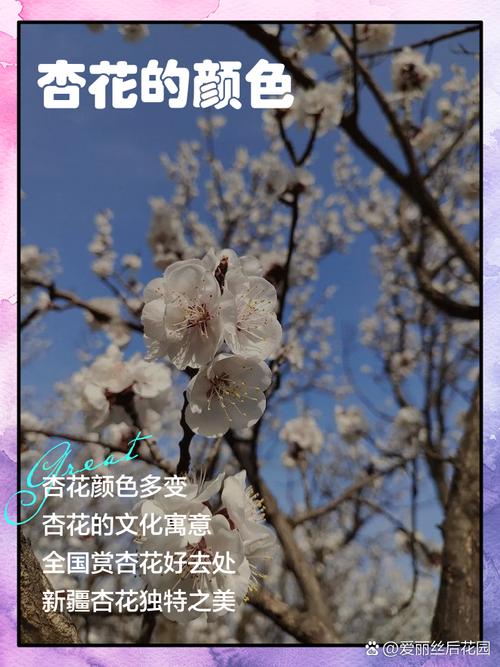 杏花色搭配什么颜色_高级时髦，轻松搞定！