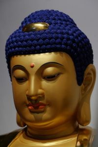 佛像的发型_非发型，象征佛陀智慧与力量