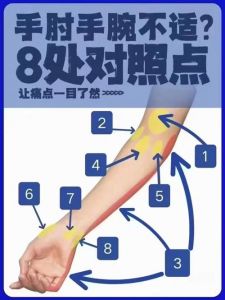 旋前圆肌怎么练_前臂旋转强起来