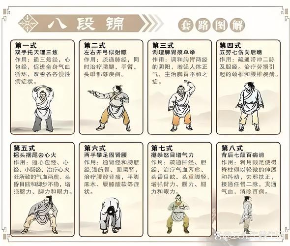 三拳四腿一膝一肘动作要领_肩肘协调,刚柔相济 三拳四腿一膝一肘动作要领_肩肘协调,刚柔相济