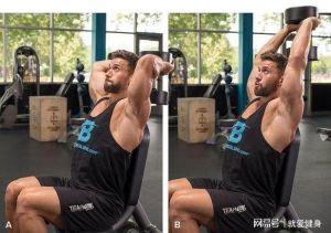 过头臂屈伸能练到三头_过头臂屈伸练肱三头肌